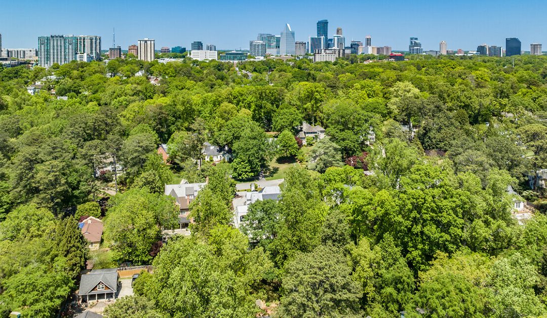 Sunnybrook Park Cleanup
