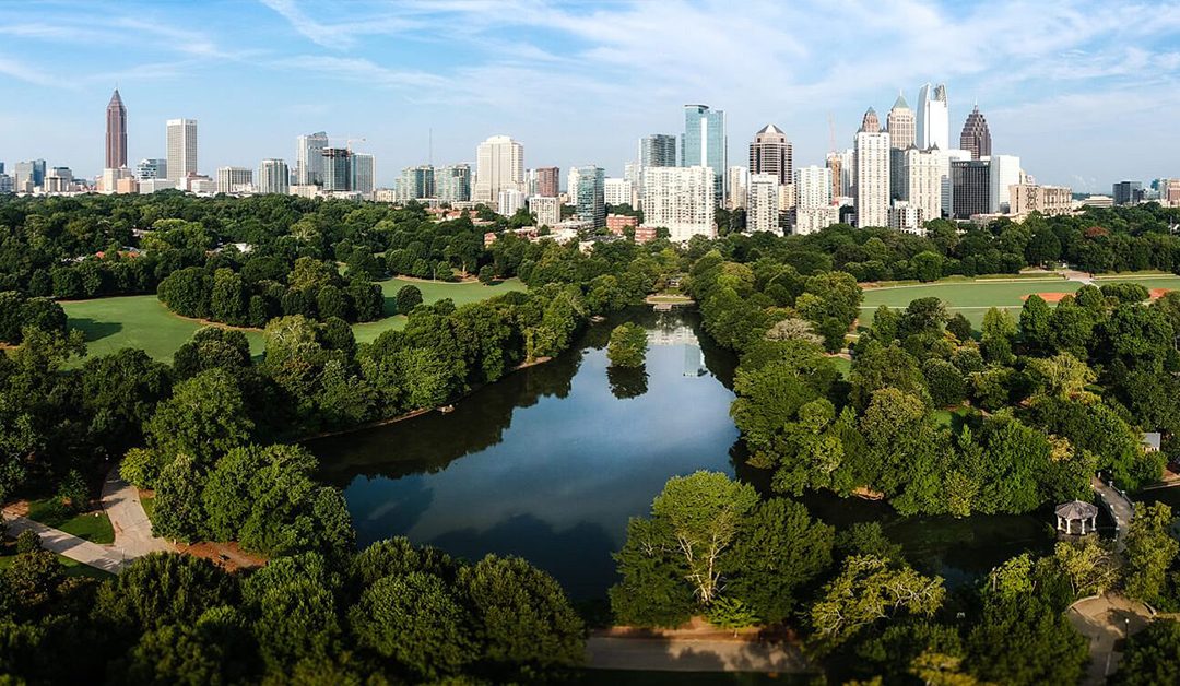 Atlanta Tree Canopy Loss (deLille Anthony)